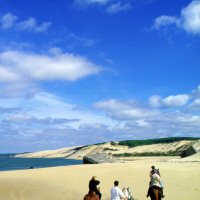 Paardrijden strand
